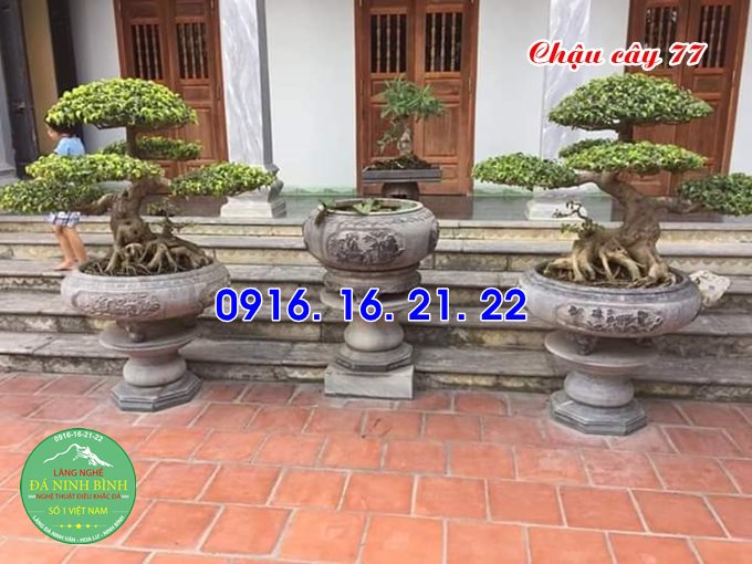 21 mẫu chậu tiểu cảnh hình tròn bằng đá thiết kế đẹp giá rẻ nhất năm 2020 77