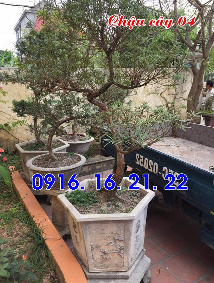 Chậu đá đẹp trồng cây 04 Chậu đá đẹp trồng cây 04