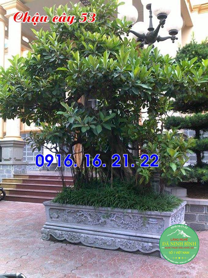 Chậu đá trồng cây đẹp 53