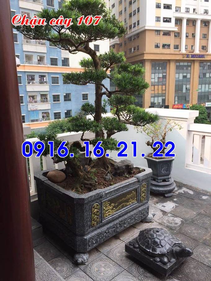 Mẫu bể đá cảnh đẹp 107