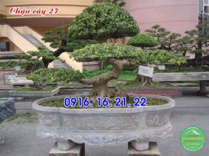 Mẫu chậu đá đẹp tự nhiên 27