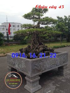 Mẫu chậu đá tự nhiên đẹp