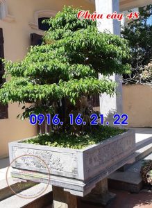 Mẫu chậu đá tự nhiên đẹp trồng cây 48